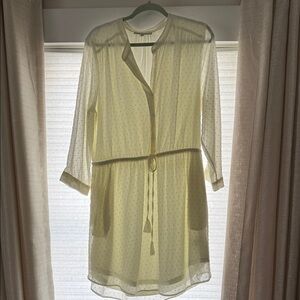Daniel Rainn Cream Sheer dress